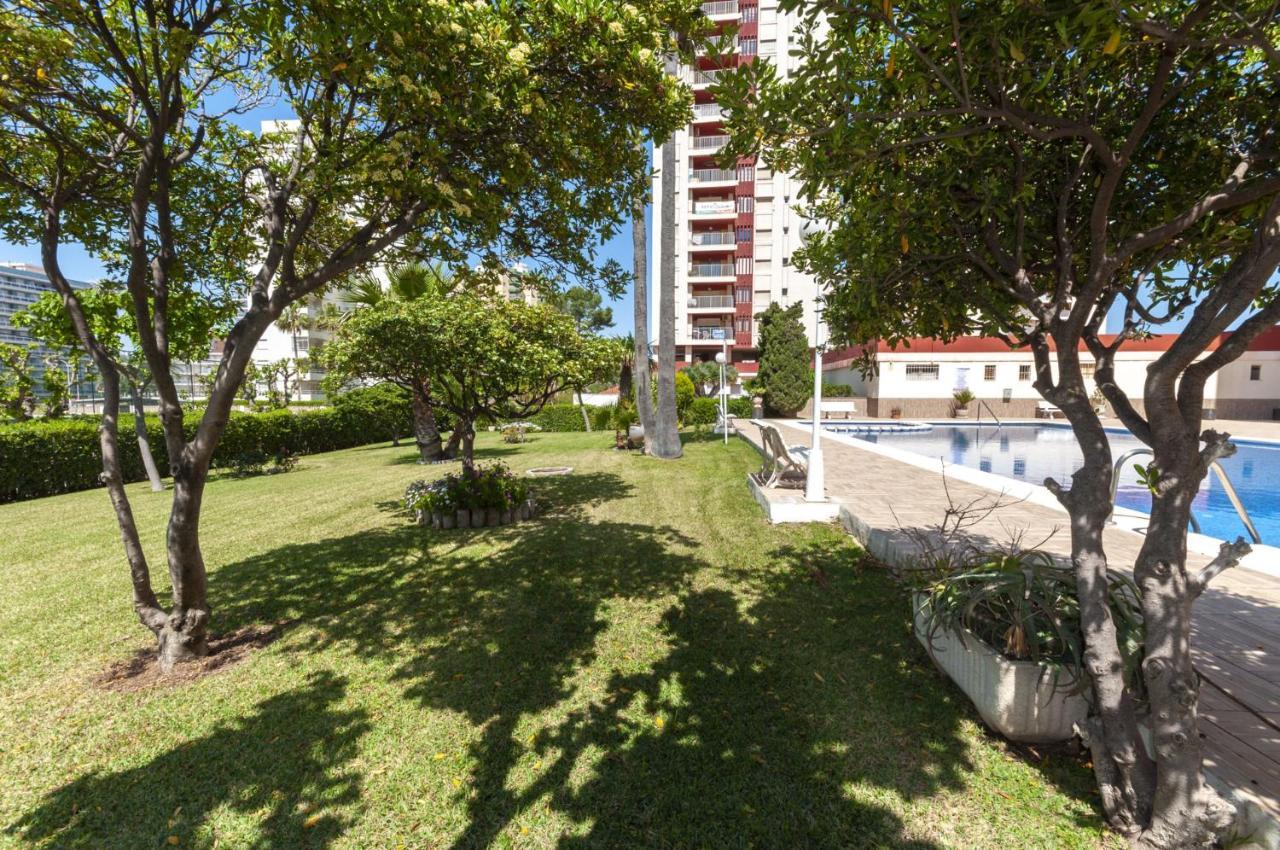 Ag Aquarium Apartman Playa de Gandia Kültér fotó